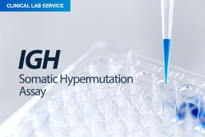 IGH Somatic Hypermutation Assay | Invivoscribe