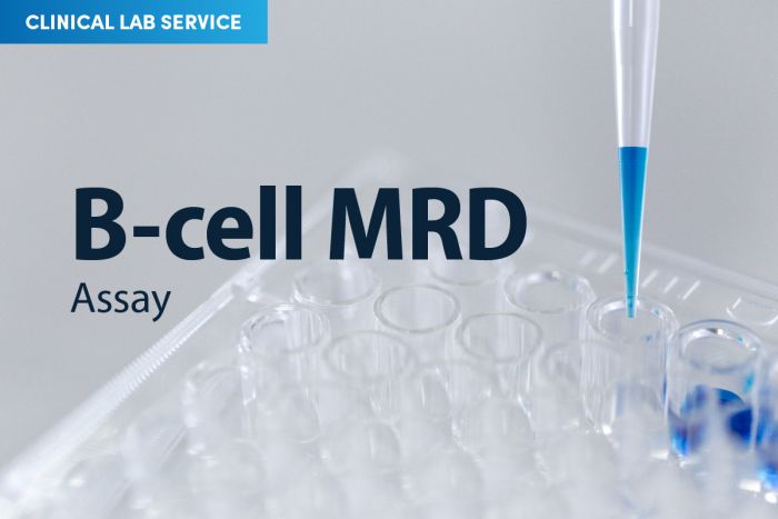 B-Cell MRD Assay